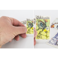 HomeLife Zväčšovacie okuliare ZOOM