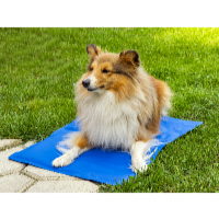 ProPet Chladiaca podložka pre psov a mačky 50 x 40 cm