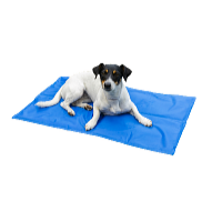 ProPet Chladiaca podložka pre psov a mačky 81 x 96 cm
