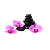 Wellife Lávový masážny kameň veľ. S