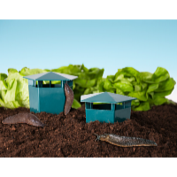 Garden King Lapač slimákov hranatý HD5005 2 ks