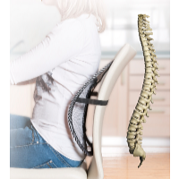 Wellife Ergonomická podložka pod chrbát 41 x 38 cm