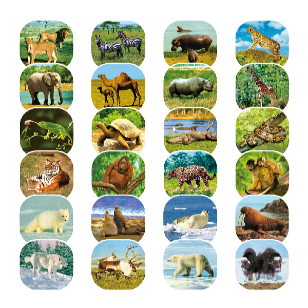 Kids World Fotoprojektor detský 2v1 Afrika