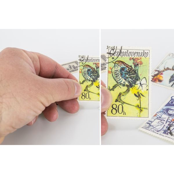 HomeLife Zväčšovacie okuliare ZOOM