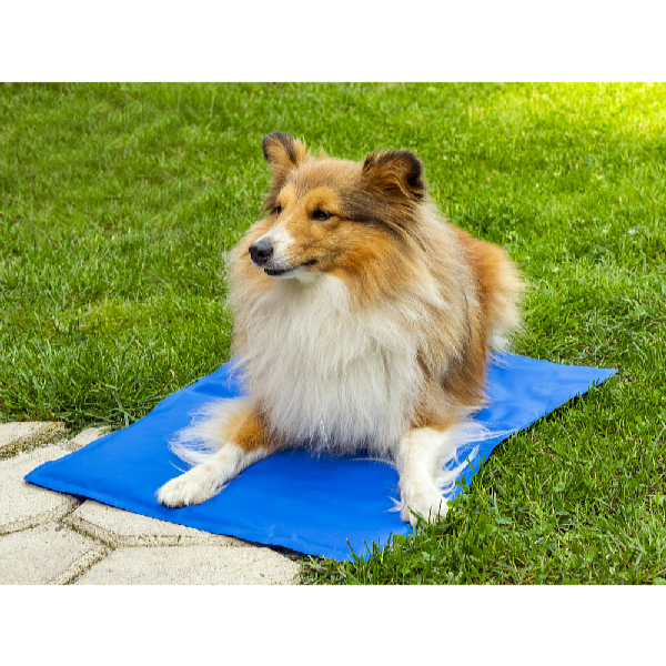 ProPet Chladiaca podložka pre psov a mačky 50 x 40 cm