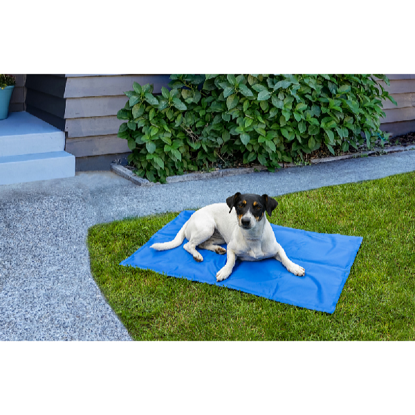 ProPet Chladiaca podložka pre psov a mačky 81 x 96 cm