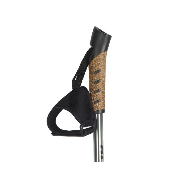 Fit Walk Palice Fit Walk Nordic Walking