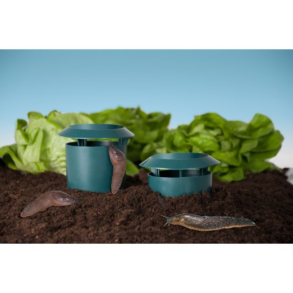 Garden King Lapač slimákov kruhový HD5001 2 ks