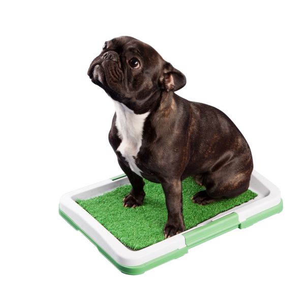 ProPet Psia toaleta malá